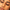 Full Lash – Soft Glam (Light) - Pre-Glued