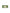 Wing Lash – Bold Flick (Medium) - Pre-Glued