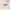 Wing Lash – Bold Flick (Medium) - Pre-Glued