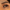 Wing Lash – Cat Eye (Medium) - Pre-Glued