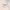 Wing Lash – Cat Eye (Medium) - Pre-Glued